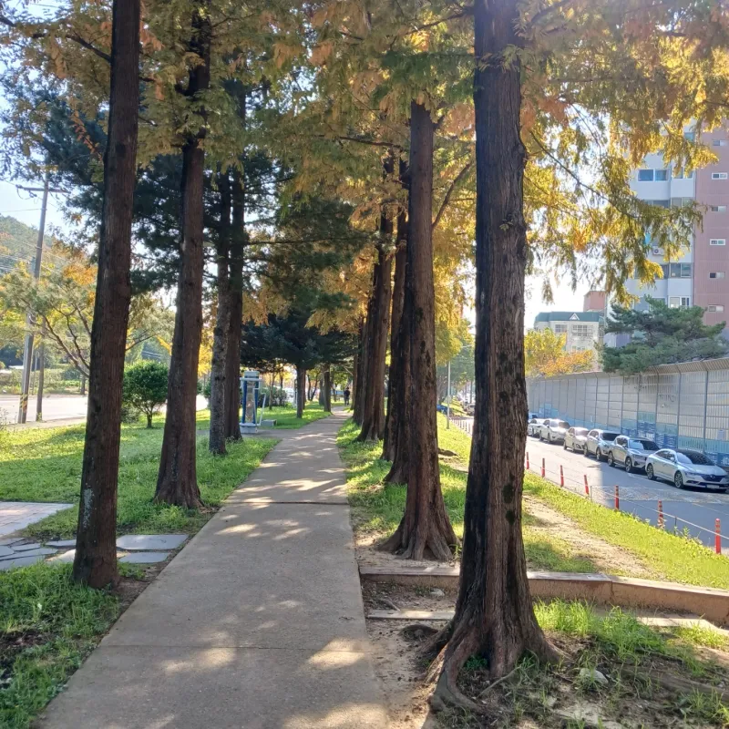 [Gyeongju] Changview 2 / Hwangridan-gil 8 min 30