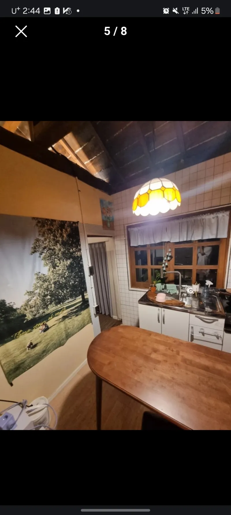 [전북 전주] 전주여행 남부시장 야시장 꽃동산 도보 5분 43