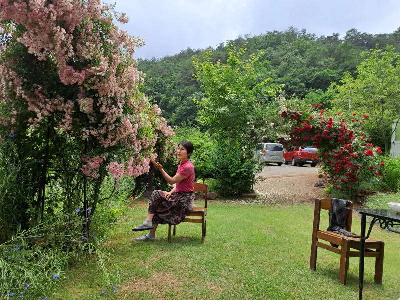 [강원 영월][강원 영월군] 숲향기 13