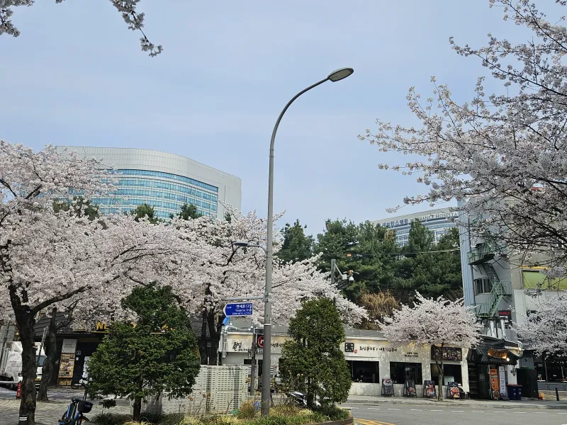 [Seodaemun, Seoul] 10 mins from Sinchon Station / 5 mins from Severance Hospital / Spacious Two-Room Apartment / Family Trips / Max. 6 People 70