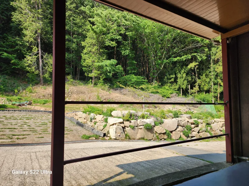 [Jangseong][Jangseong-gun, Jeollanam-do] Cypress Forest Rest Area 16