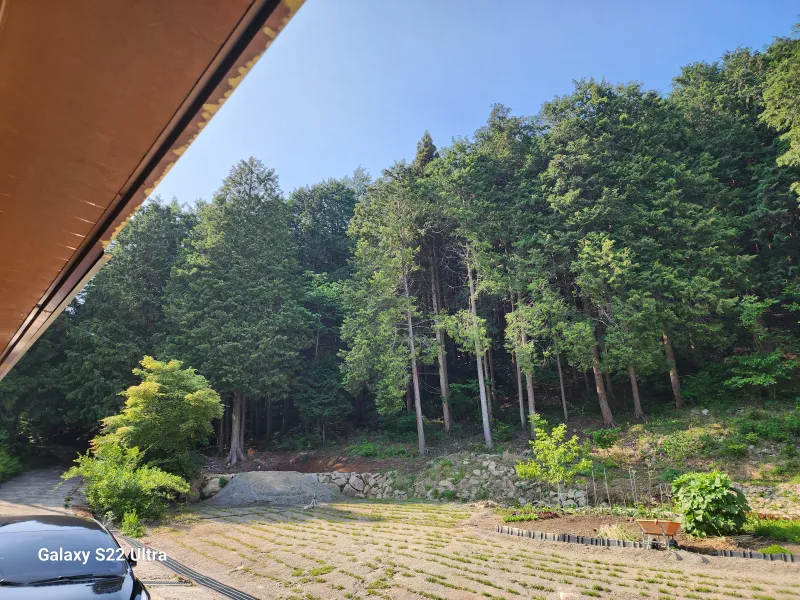 [Jangseong][Jangseong-gun, Jeollanam-do] Cypress Forest Rest Area 17
