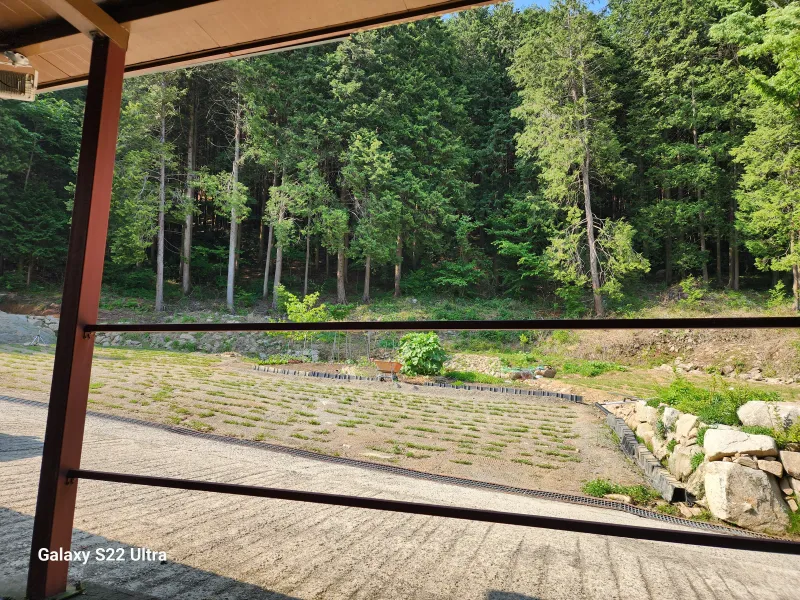 [Jangseong][Jangseong-gun, Jeollanam-do] Cypress Forest Rest Area 15