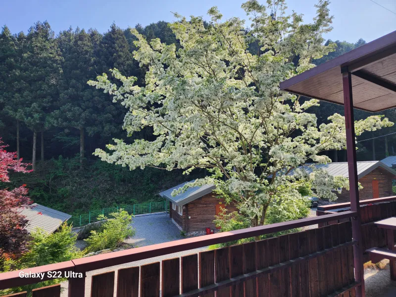 [Jangseong][Jangseong-gun, Jeollanam-do] Cypress Forest Rest Area 18