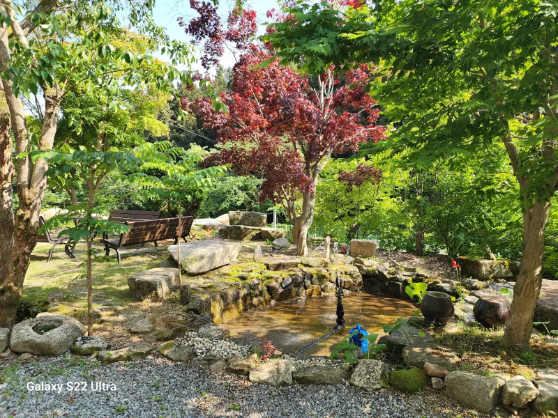 [Jangseong][Jangseong-gun, Jeollanam-do] Cypress Forest Rest Area 20