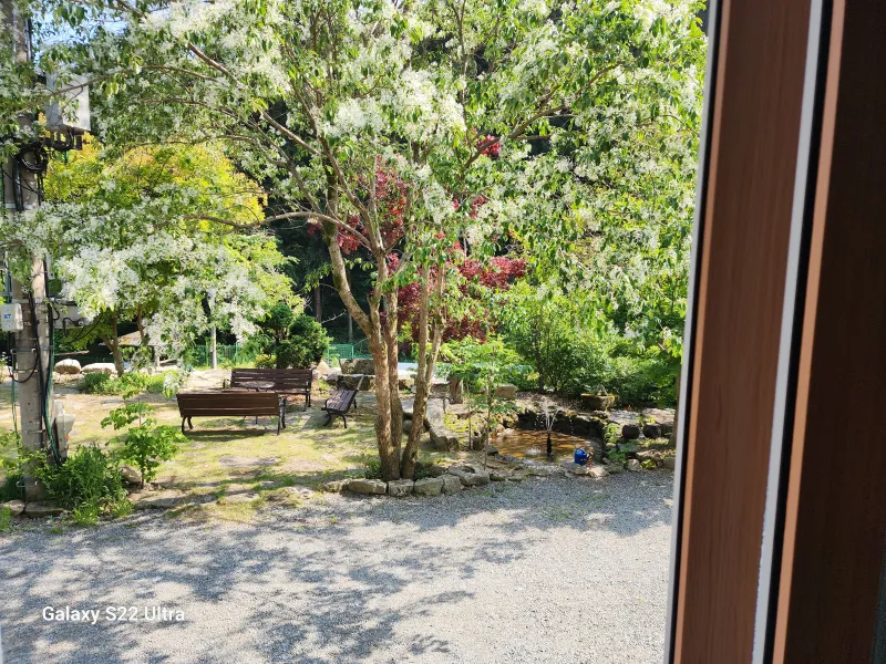 [Jangseong][Jangseong-gun, Jeollanam-do] Cypress Forest Rest Area 11