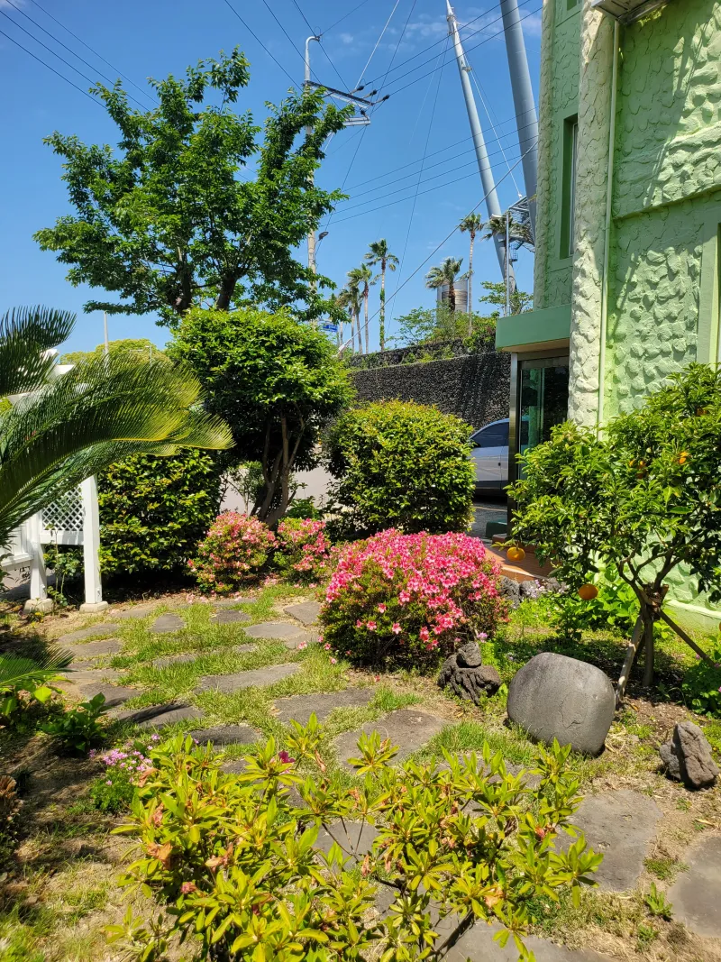 [Beophwan-dong, Seogwipo] A private, all-inclusive studio next to the World Cup Stadium #Accessibility 13