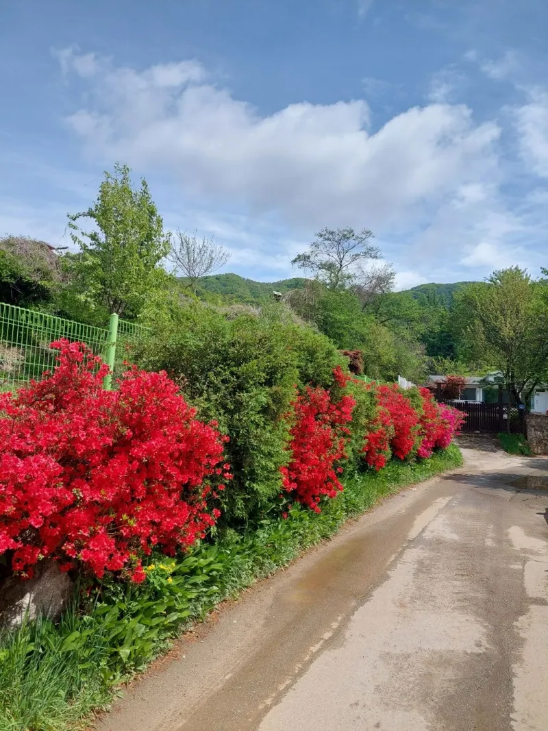 [Wonju][Sunset] 5km from Namwonju IC/Wonju Station, Lake, Sunset, Mountain View Hotspot 21