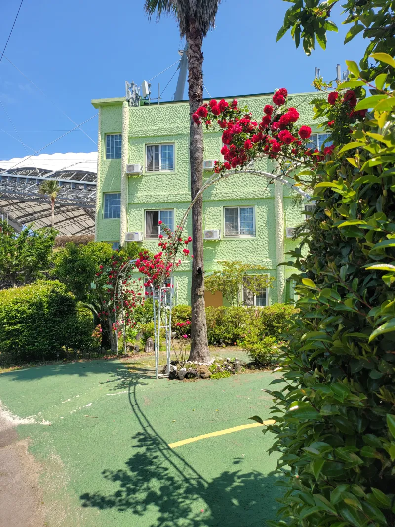[Beophwan-dong, Seogwipo] A private, all-inclusive studio next to the World Cup Stadium #Accessibility 12