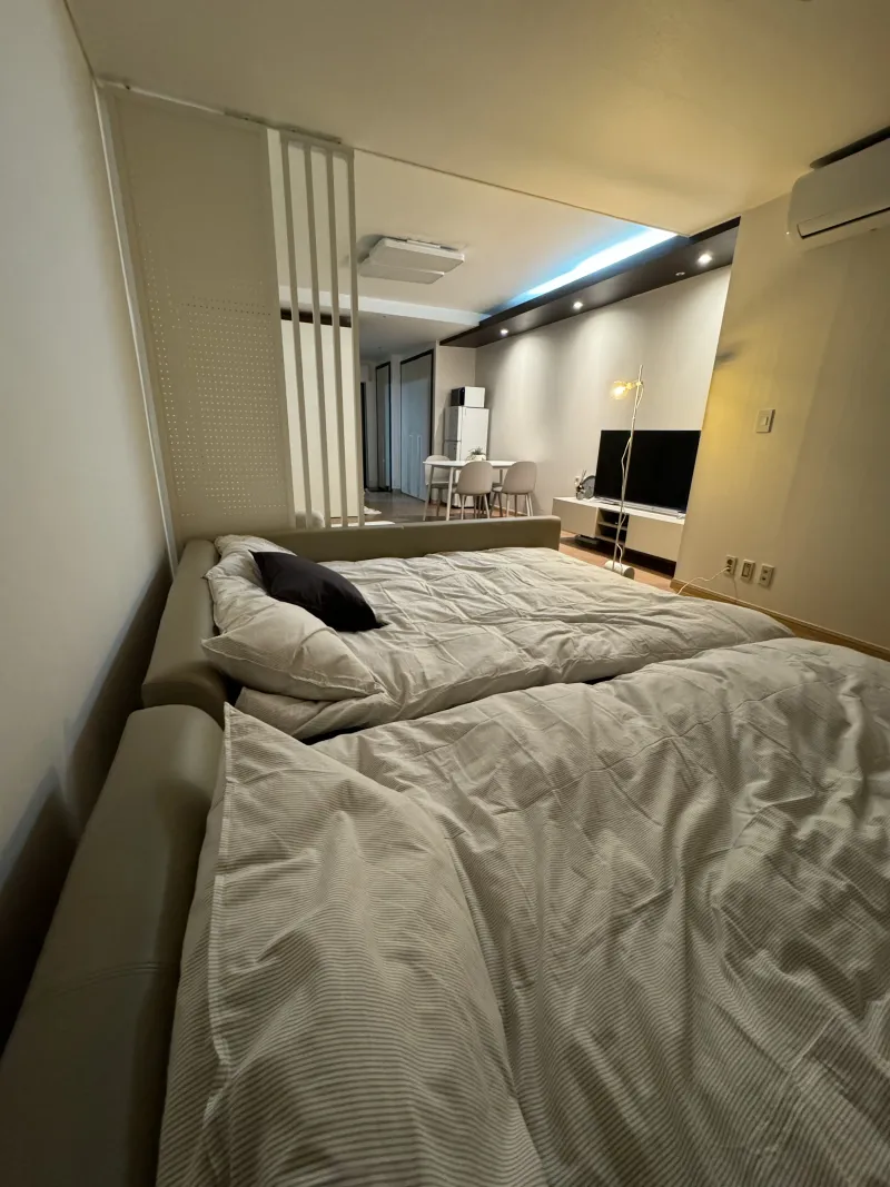 [Gangnam, Seoul] Gangnam Suseo Station Full Option Studio 50