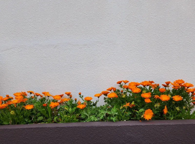 [Daejeong, Seogwipo] The most Jeju-like peaceful and quiet one-room accommodation 17