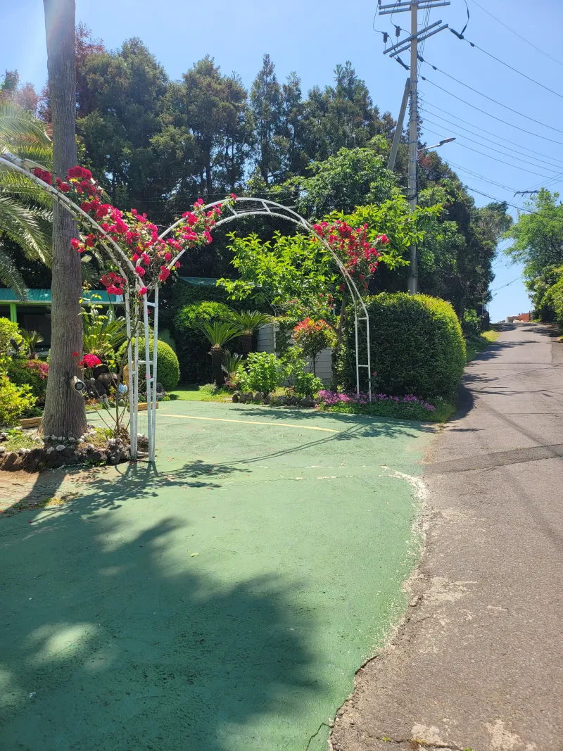 [Beophwan-dong, Seogwipo] A private, all-inclusive studio next to the World Cup Stadium #Accessibility 25