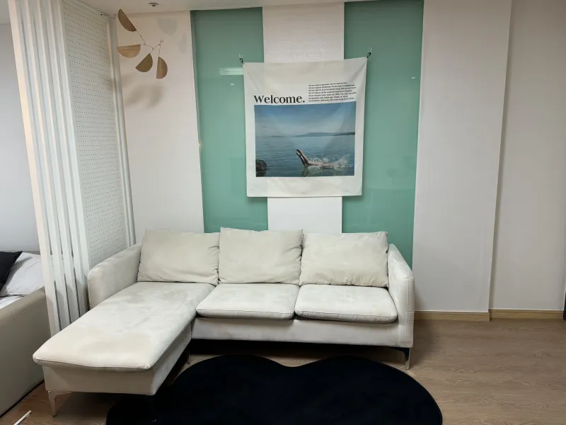 [Gangnam, Seoul] Gangnam Suseo Station Full Option Studio 43