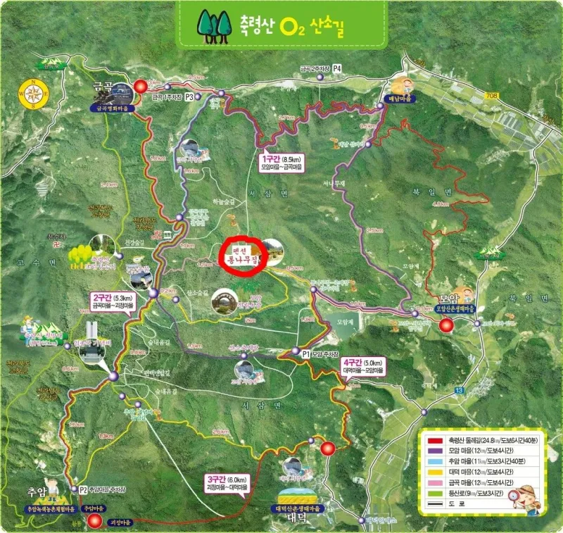 [Jangseong] Cypress Forest Rest Area 23