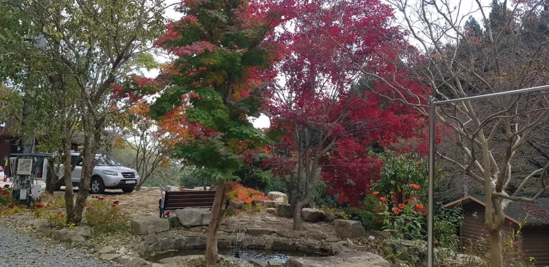 [Jangseong] Cypress Forest Rest Area 46