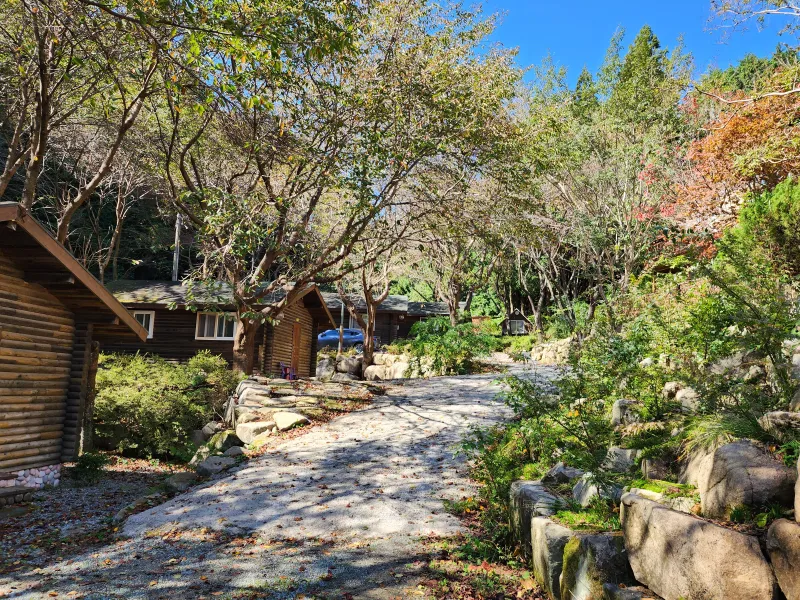 [Jangseong] Cypress Forest Rest Area 49