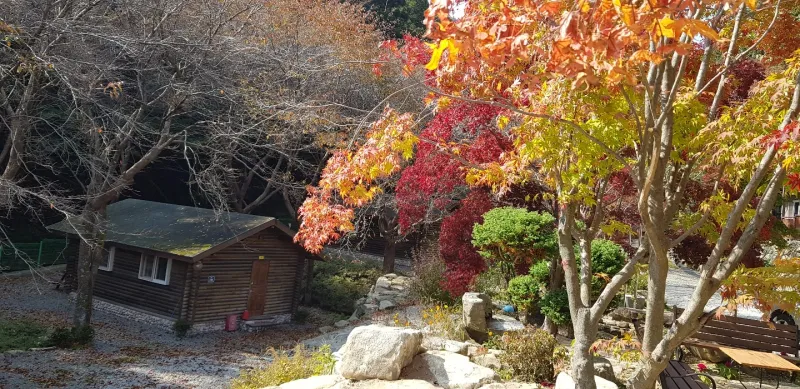 [Jangseong] Cypress Forest Rest Area 47