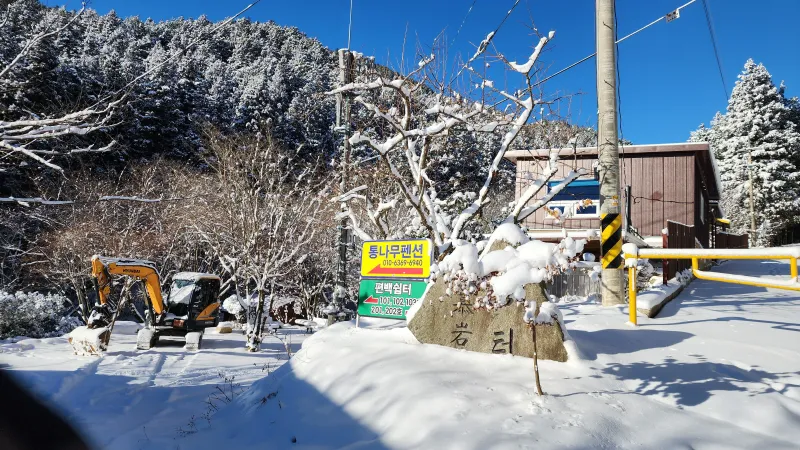 [Jangseong] Cypress Forest Rest Area 38