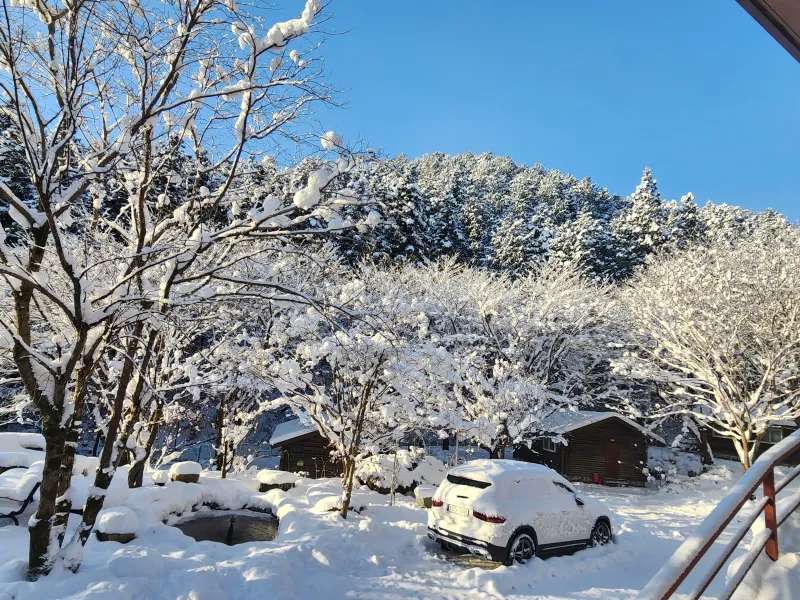 [Jangseong] Cypress Forest Rest Area 30