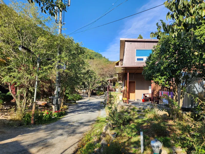 [Jangseong] Cypress Forest Rest Area 48