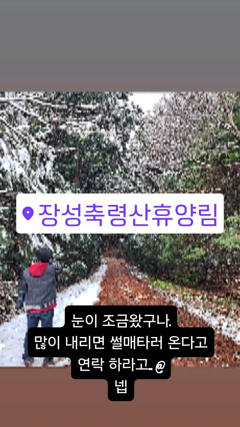 [Jangseong] Cypress Forest Rest Area 28