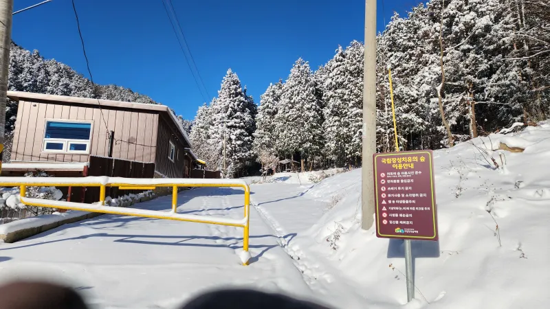 [Jangseong] Cypress Forest Rest Area 39