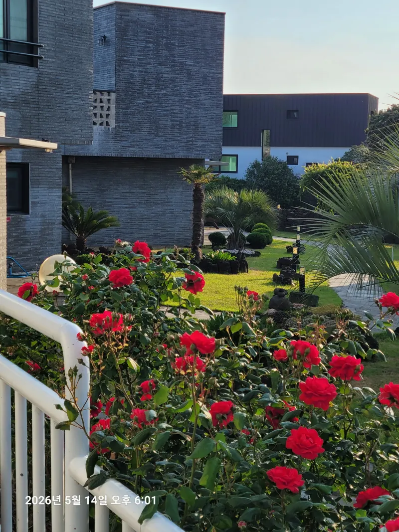 [Hallim, Jeju] Ocean view newly built duplex 3-room independent house C building 82