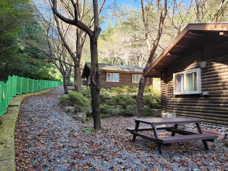 [Jangseong] Cypress Forest Rest Area 50