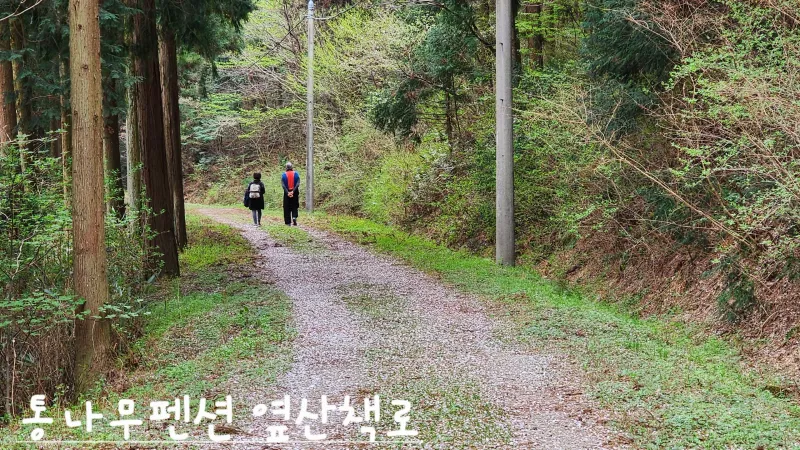 [Jangseong] Cypress Forest Rest Area 22