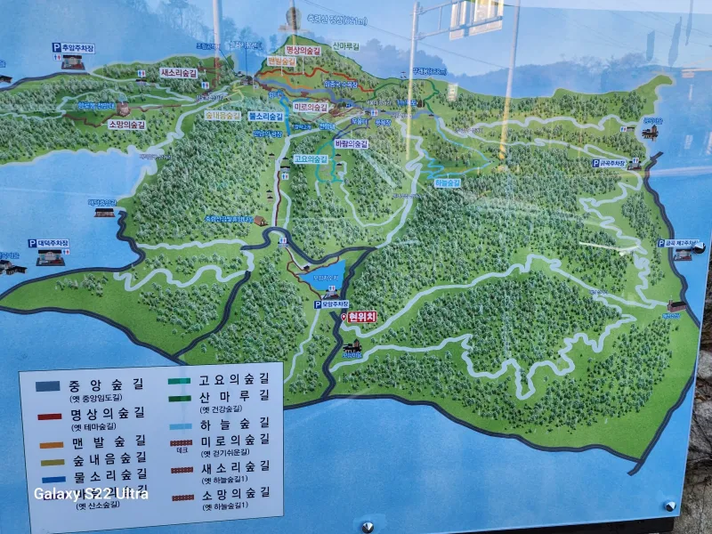 [Jangseong] Cypress Forest Rest Area 21