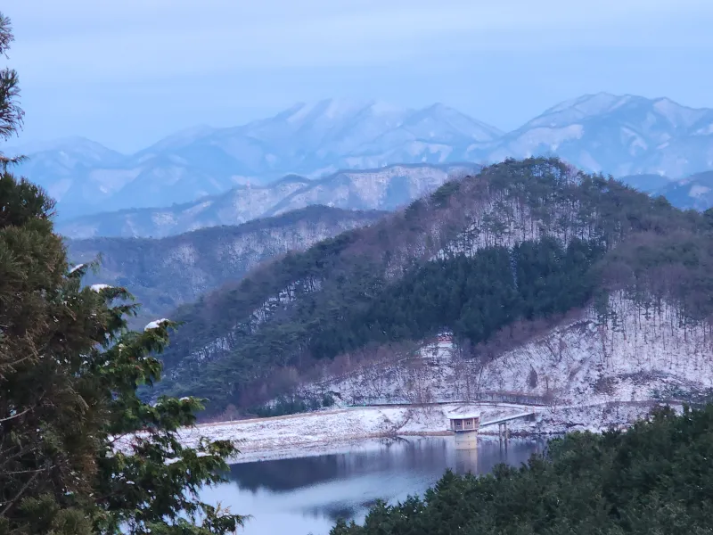 [Jangseong] Cypress Forest Rest Area 31