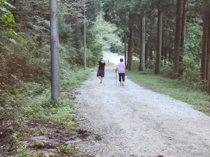 [Jangseong] Cypress Forest Rest Area 32