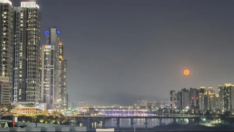 [울산 중구] 태화강 국가정원 담은집A 강뷰  산책  힐링 20