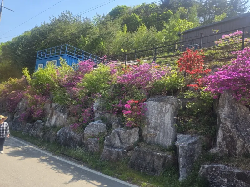 [Gapyeong][Gyeonggi Gapyeong-gun] Eobi Valley Dreamland (Red Bookstore) 42