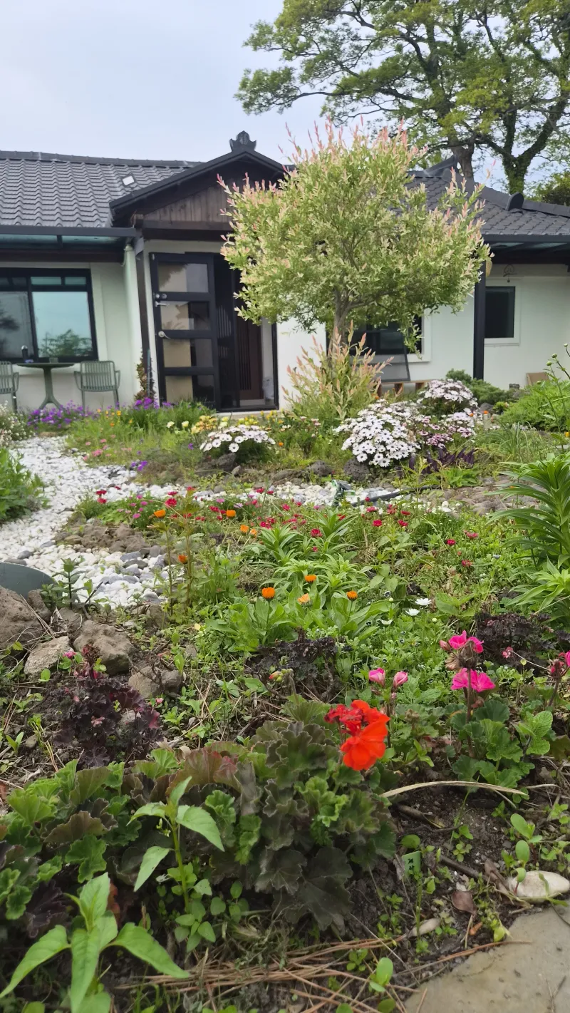 [Hallim, Jeju] A country stone house with a pretty yard and rafters 20