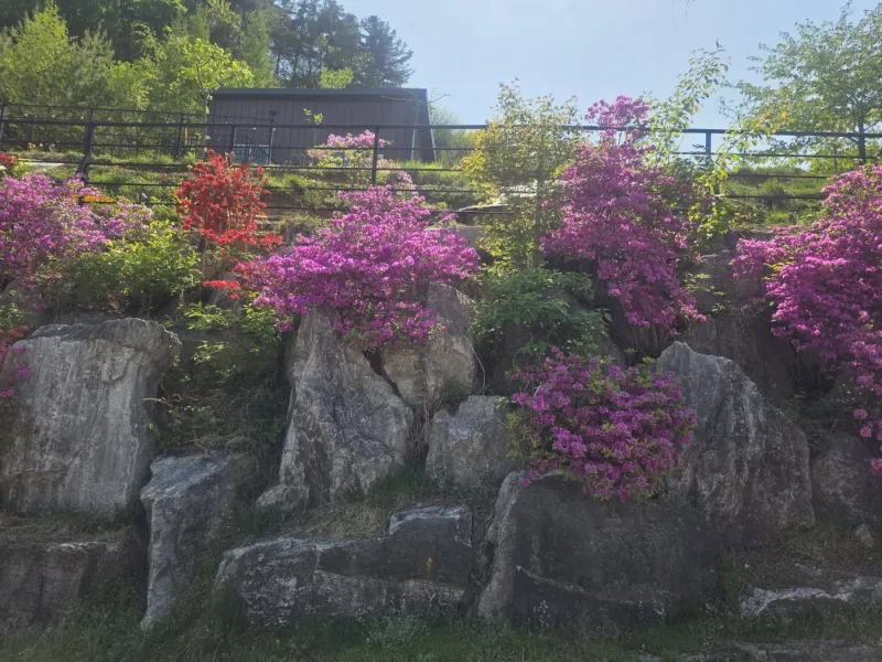 [Gapyeong][Gyeonggi Gapyeong-gun] Eobi Valley Dreamland (Red Bookstore) 41