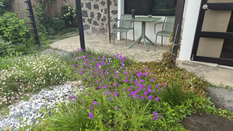 [Hallim, Jeju] A country stone house with a pretty yard and rafters 19