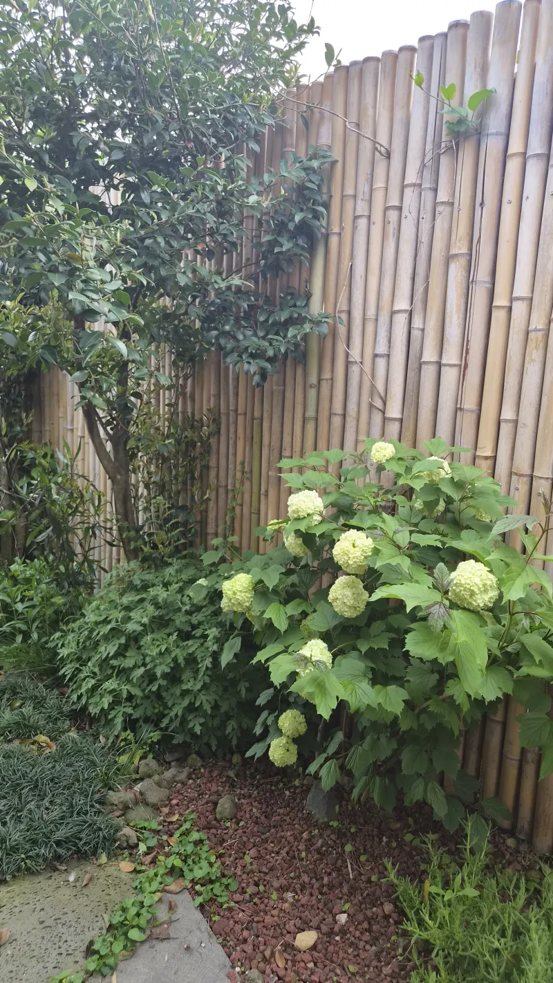 [Hallim, Jeju] A country stone house with a pretty yard and rafters 21