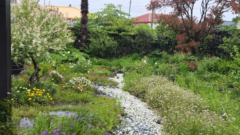 [Hallim, Jeju] A country stone house with a pretty yard and rafters 18