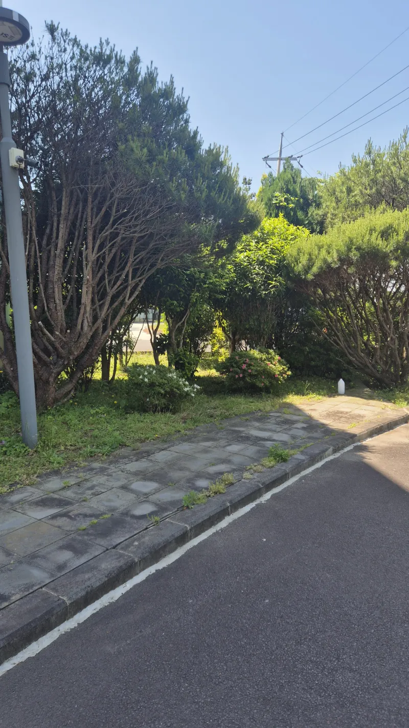 [Topyeong-dong, Seogwipo][2 weeks or more] Hotel-style Studio 2 ♤ Quiet Hallasan Mountain View, Forest Area ♤ Beautiful Garden View 55