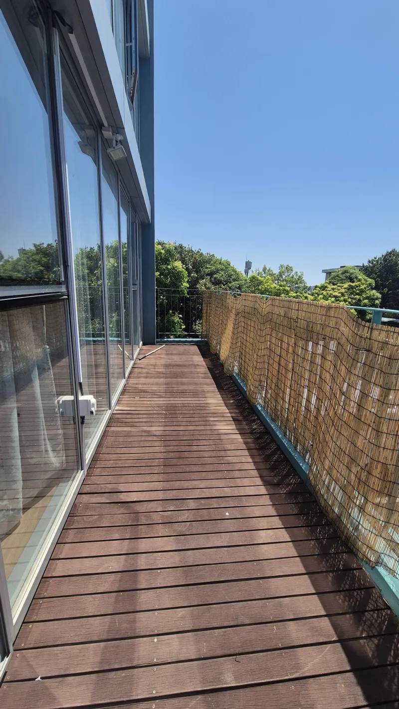 [Topyeong-dong, Seogwipo][2 weeks or more] Hotel-style Studio 2 ♤ Quiet Hallasan Mountain View, Forest Area ♤ Beautiful Garden View 51
