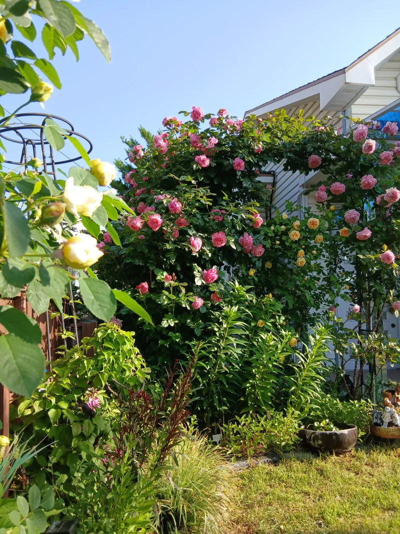 [Yeongdeok] A recently remodeled 56-pyeong detached house with a country feel and healing nature in the arms of the sea 75