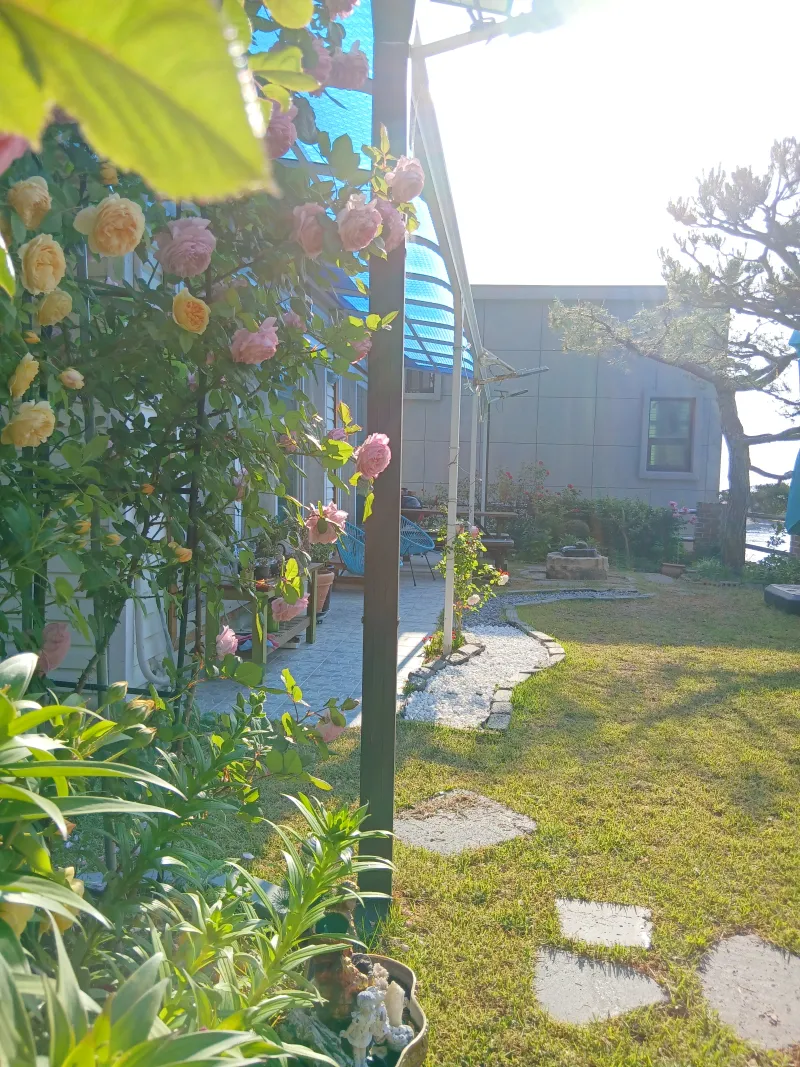 [Yeongdeok] A recently remodeled 56-pyeong detached house with a country feel and healing nature in the arms of the sea 74