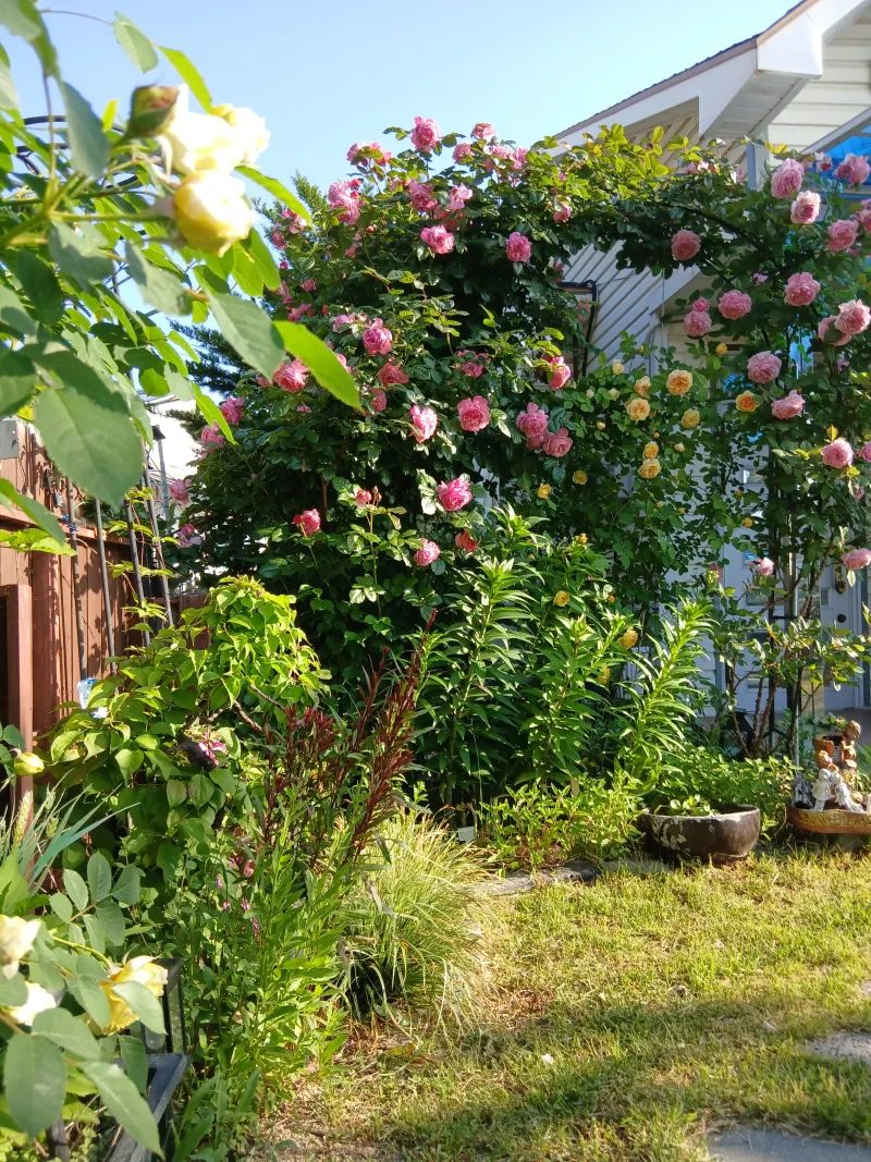 [Yeongdeok] A recently remodeled 56-pyeong detached house with a country feel and healing nature in the arms of the sea 73