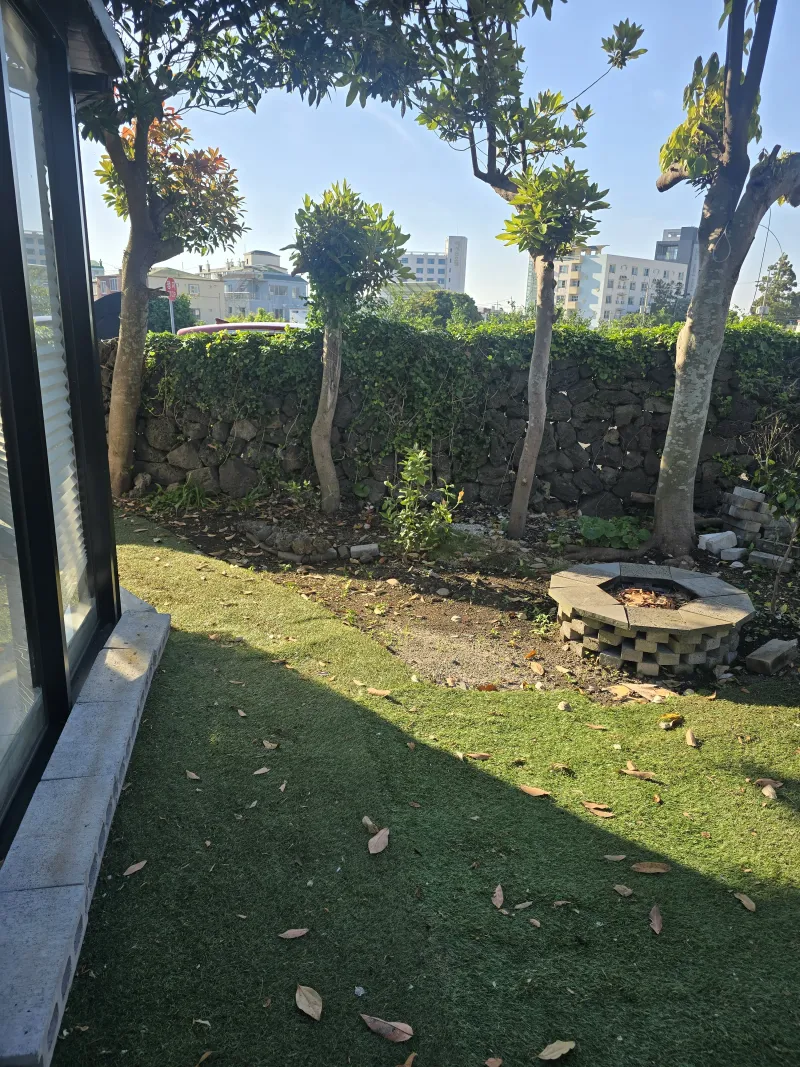 [Pyoseon, Seogwipo] Stone wall with a yard 25