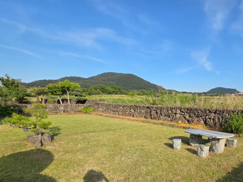 [제주 조천] 제주 동쪽 숲속 독채 18