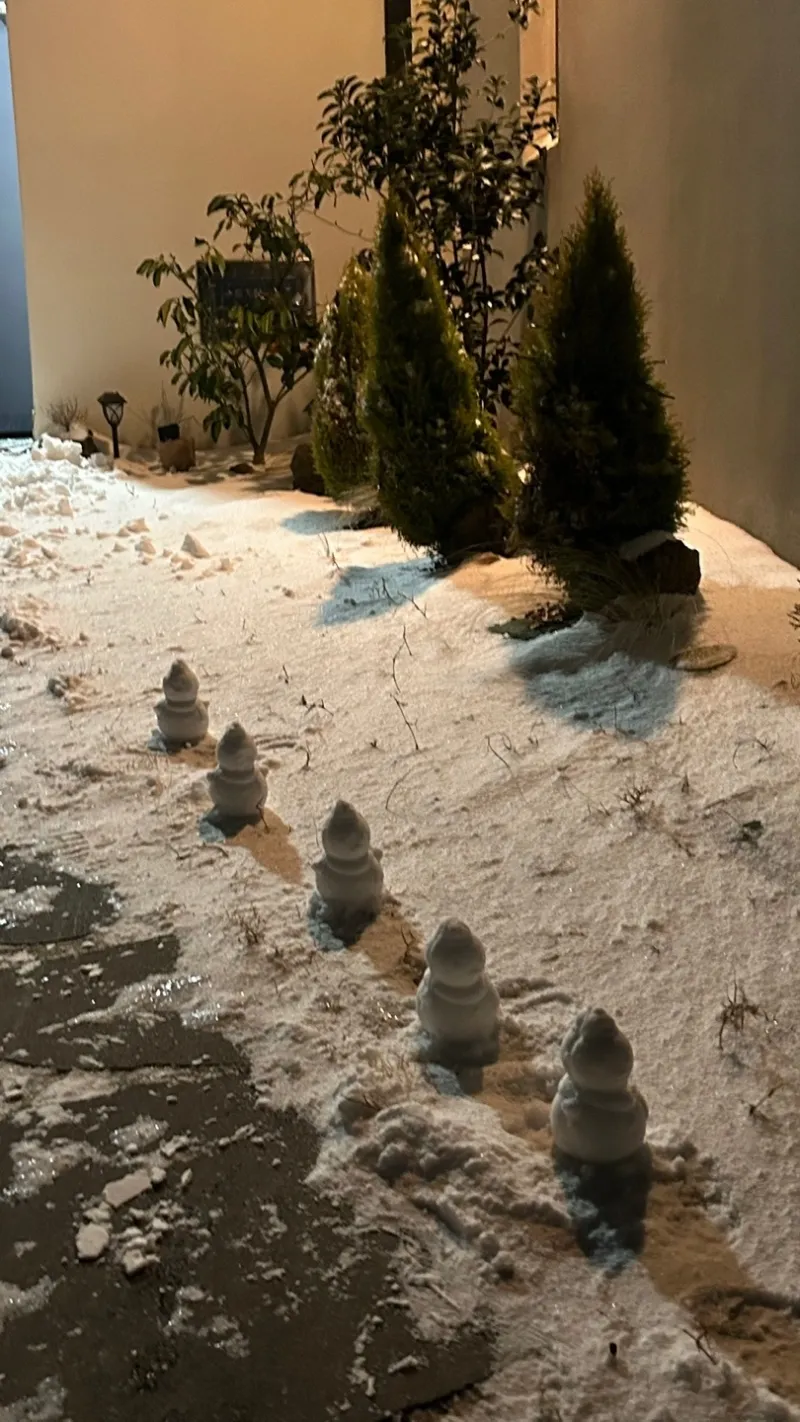 [제주 애월] 한라산뷰 돌담 정원 독채 #애견동반 #유수암 #복층 103