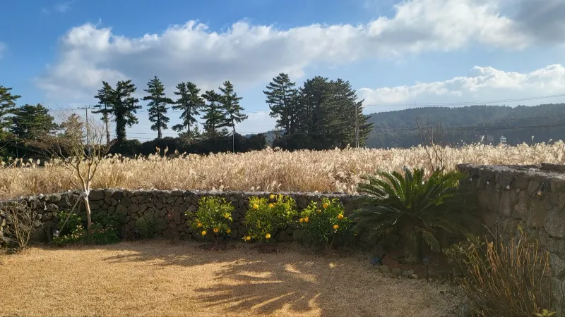 [제주 애월] 한라산뷰 돌담 정원 독채 #애견동반 #유수암 #복층 69