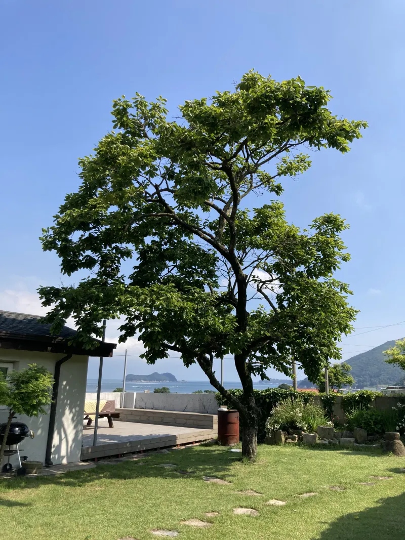 [Namhae][Namhae-gun, Gyeongsangnam-do] A charming detached house with a yard and ocean view near German Village 15
