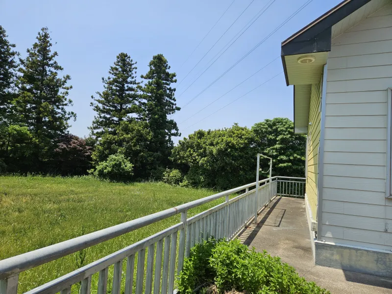 [Odeung-dong, Jeju] Forest-view Healing House in Odeung-dong 26